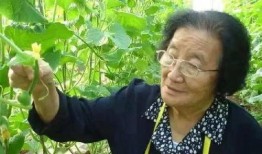 娱乐吃瓜酱老一辈的人,揭秘老一辈的人生智慧与生活态度